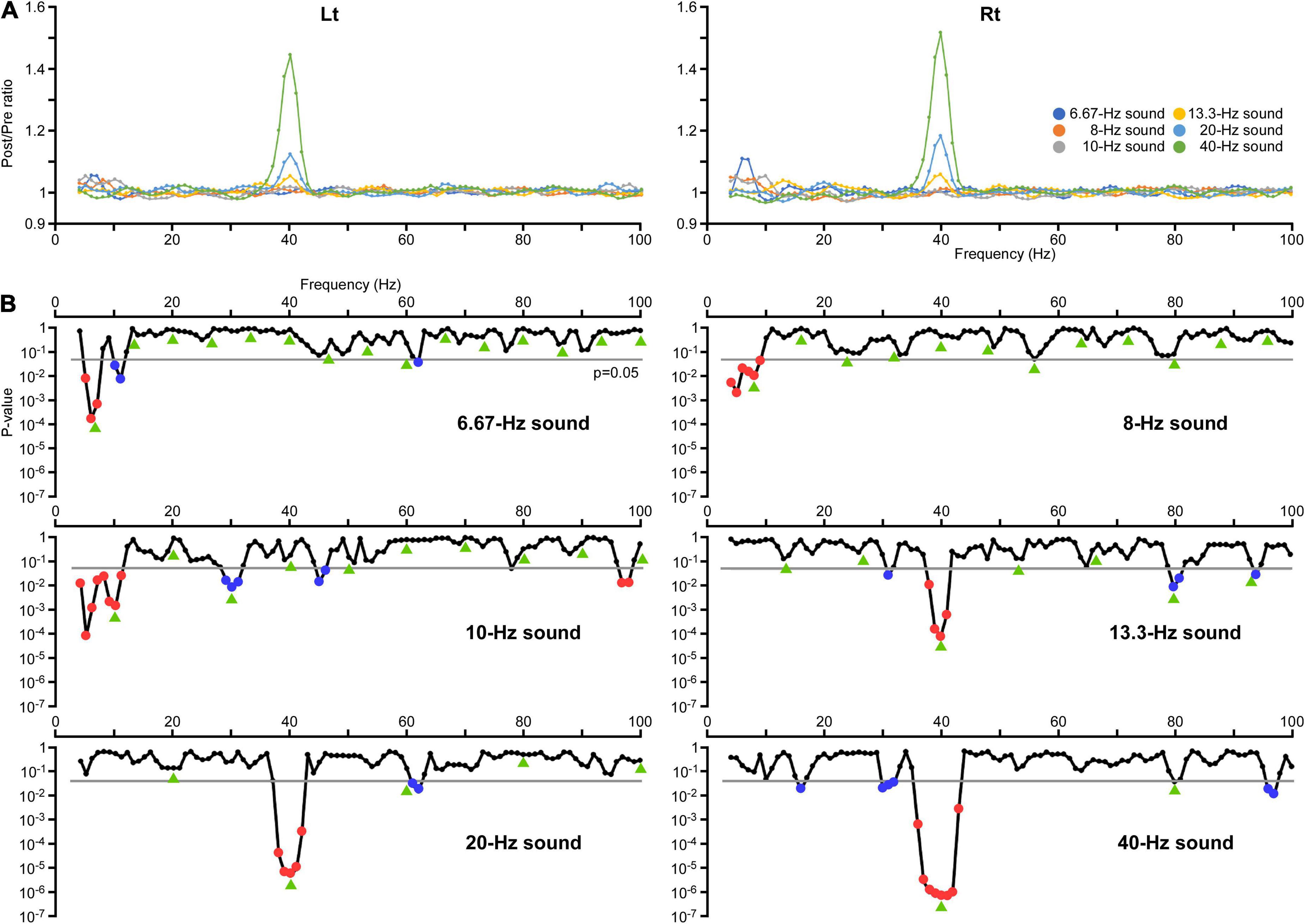 The 40-Hz auditory steady-state response enhanced by beta-band subharmonics
